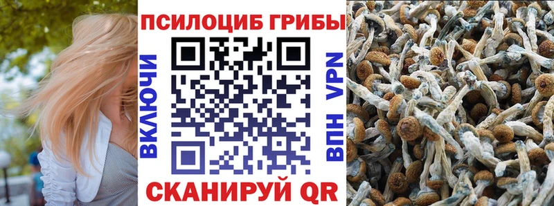 Псилоцибиновые грибы ЛСД  Мурино 