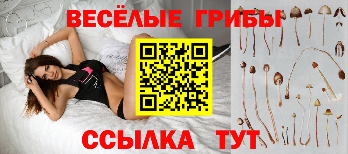 Псилоцибиновые грибы Magic Shrooms Мурино
