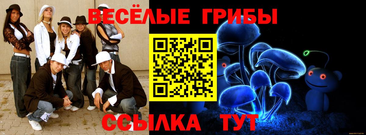 Галлюциногенные грибы GOLDEN TEACHER  Вход с VPN  Мурино 